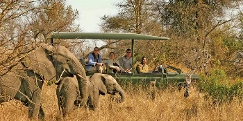 South Africa Small Group Golf Tour Vacation Package Jock Safari Lodge Game Drive - PerryGolf + Azamara Cruises